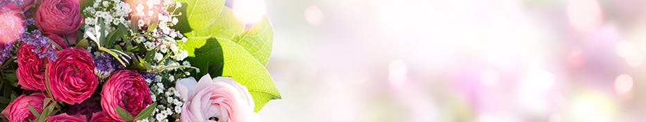 Blume2000.de Gutscheine