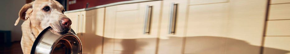 Fressnapf Gutscheine